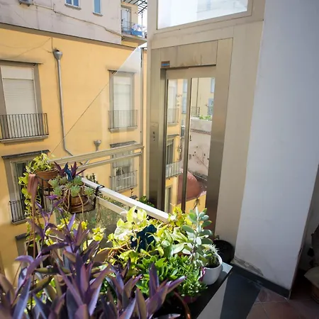 Palazzo 15 *